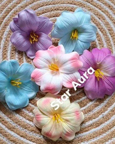Tulip flower clip