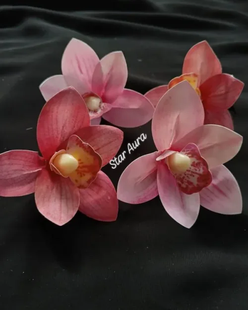 Cymbidium hair clip