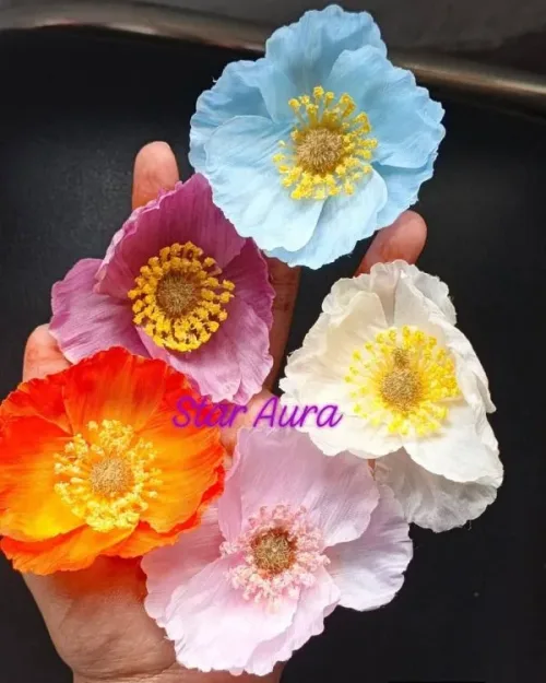 Popy hair clip