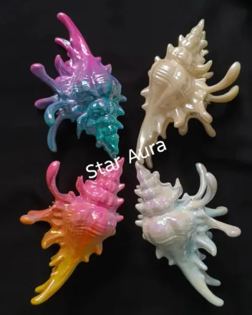 Sea shell claw clip